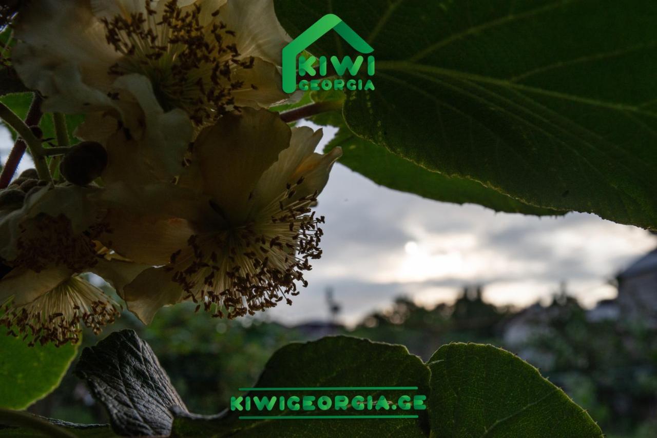 Kiwi Georgia Villa Kobuleti Eksteriør bilde