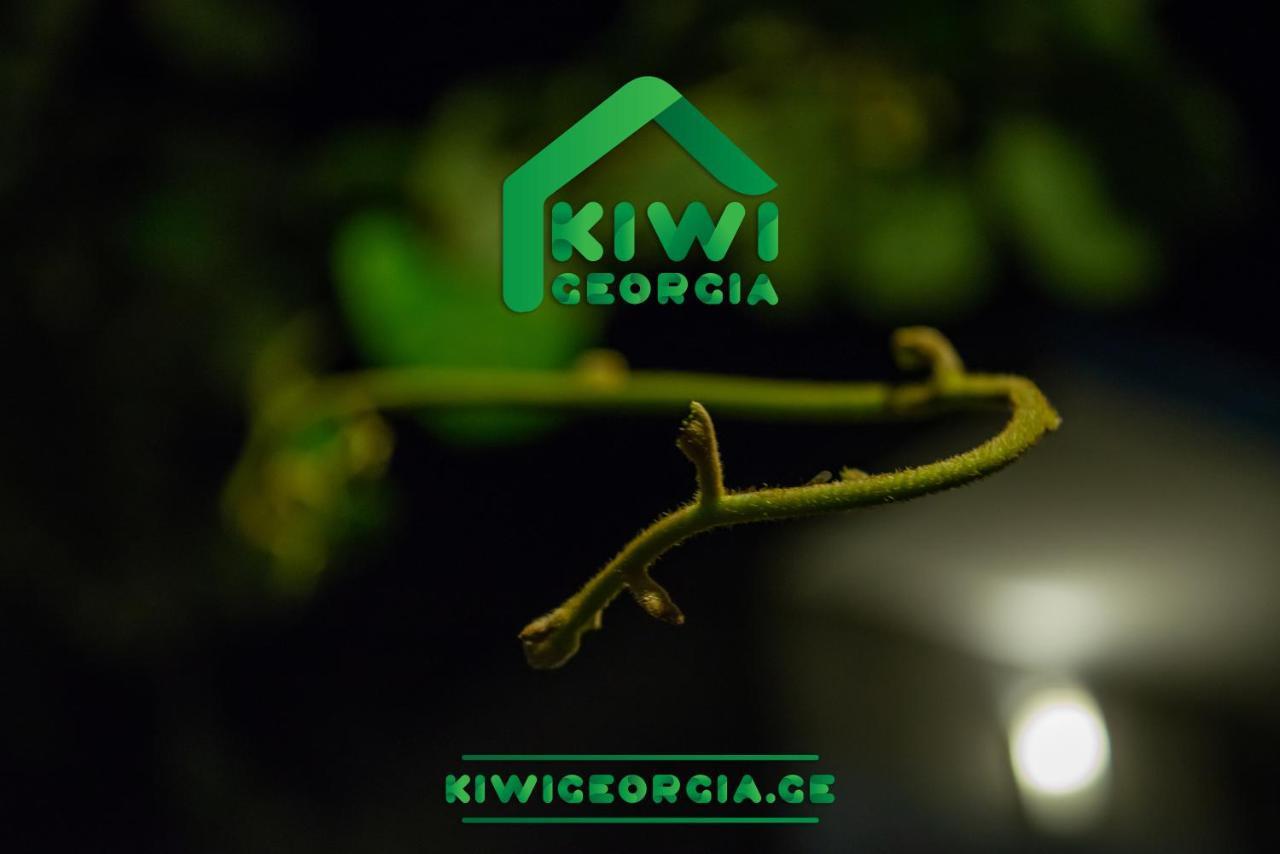 Kiwi Georgia Villa Kobuleti Eksteriør bilde