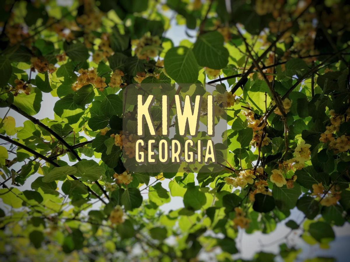Kiwi Georgia Villa Kobuleti Eksteriør bilde
